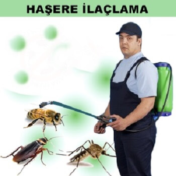 Konyaaltı Böcek İlaçlama